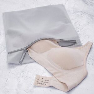 Meshin’ Around Wash Bag Laundry Undergarments